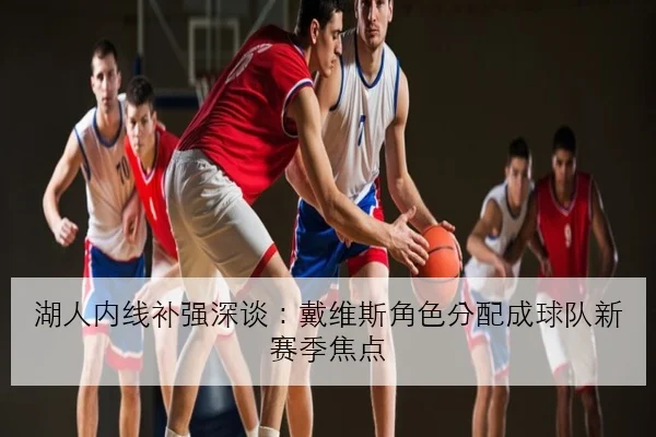 湖人内线补强深谈：戴维斯角色分配成球队新赛季焦点